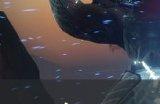 《命运2》大师贪婪之握尾王多少血 大师贪婪之握尾王攻略