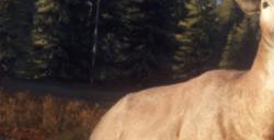 《猎人：荒野的呼唤》银岭峰动物有什么特点