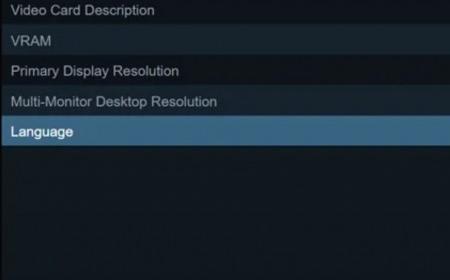 Steam 2月中文用户大幅度上升 全球占比超过了50%