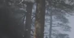 《黑神话：悟空》游戏通关第一章注意事项分享