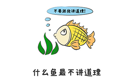 谐音梗挑战第39关攻略  什么鱼最不讲道理