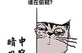 最强大脑3第4关攻略  谁在偷窥