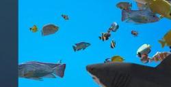 桌面养鱼游戏《Fish on the desktop》Steam页面上线