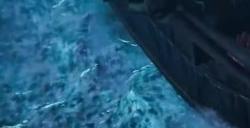 《影子诡局:被诅咒的海盗》新视频展示任务完整流程
