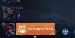 王者荣耀小兵皮肤能共享多少次 小兵皮肤队友共享规则