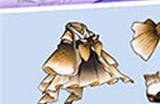崩坏学园2荒野雪原怎么玩?崩坏学园2攻略详解