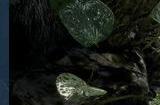 《合金装备Δ 食蛇者》Steam页面现已上线 支持简中