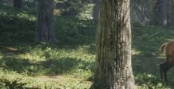 《猎人：荒野的呼唤》蒂阿拉罗瓦的臆羚怎么抓