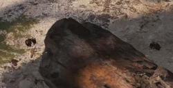 《蚂蚁帝国》游戏官网地址介绍