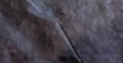 为让咕噜保持最烂 有人给《骷髅岛：金刚崛起》刷好评