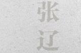 放开那三国3如何打张辽