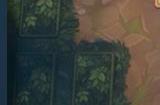 《卡牌探险：雨林迷踪》Steam页面上线 Q3发售