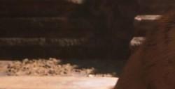 《黑神话：悟空》厌火夜叉面要什么材料