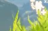 《王国之泪》《荒野之息》画面对比 仍有掉帧问题!