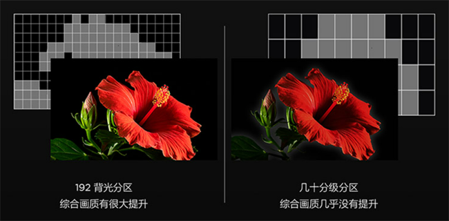 image005.png
