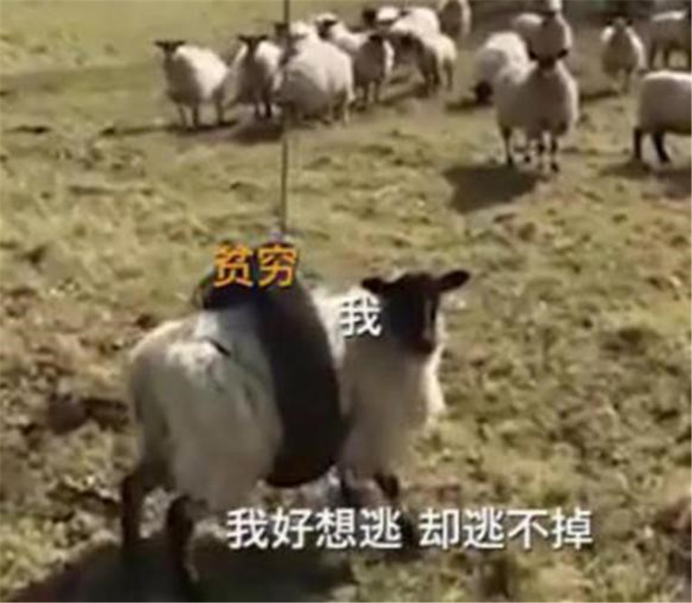 国内第一款适配《重生细胞》手柄 北通G2手游手柄即连即玩一键通关