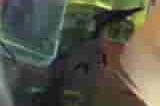 渡鸦猎捕 《第五人格》监管者 “噩梦”基础攻略来袭！