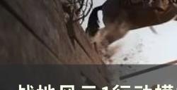 《战地风云1》坦克猎手刷新点在哪 行动模式坦克猎手刷新地点详情