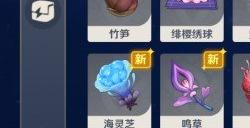 原神基本呈紫色的提瓦特特产有哪些 图形对抗实验录第五天攻略
