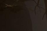 TGA 2023：《Ori》开发商全新动作RPG《恶意不息》公开
