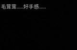 《剑星》毛绒熊熊怎么获得