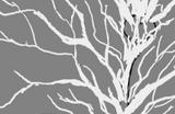 《Dolls Nest》言树夏拉支线攻略分享