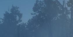 《荒野大镖客2》线上模式赏金猎人怎么赚钱比较简单