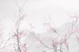 开放世界大作纷纷遭遇滑铁卢，最后的希望是《仙剑世界》？