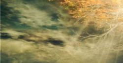 艾尔登法环调香师的制作笔记怎么获得 艾尔登法环调香师的制作笔记获得方法