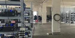 扫除游戏健康生态“新害虫”，米哈游协助警方斩断“游戏账号非法租售黑灰产”链条