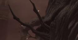 《艾尔登法环》沉水礼拜堂腐烂树灵BOSS图鉴