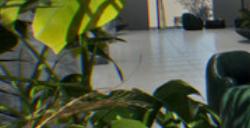 《Greenhouse》游戏特色内容介绍