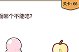 我不是猪头第66关攻略  下面哪个不能吃