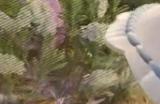 《无限暖暖》普通奇想星获取方法介绍