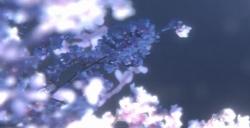《偶像大师》手游新作前导PV放出 3月5日正式公布