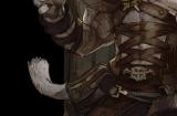 ff14硌狮族怎么样 ff14硌狮族种族介绍