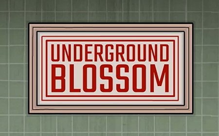 Underground Blossom《地铁繁花》攻略  地铁繁花通过攻略