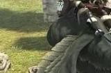 ff14阿马罗怎么获得 ff14阿马罗获得方法