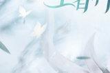 3.15 《魔域手游2》玩家体验感想:回味经典 共创魔域