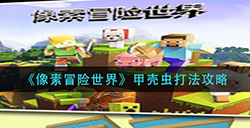 像素冒险世界甲壳虫怎么打  甲壳虫打法攻略