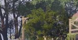 《无限暖暖》缇米丝美妆工坊副本攻略介绍