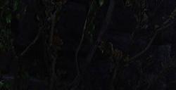韩国开放世界幻想风MMORPG《时空奥德赛》实机公布
