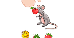 Brain Blow第4关攻略  喂老鼠