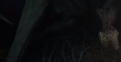 《艾尔登法环》利耶尼亚唤灵蜗牛BOSS图鉴