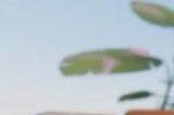 休闲益智游戏《猫与花毯》确定于3月6日上线Steam