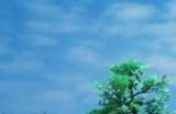 微软或试图收购《幻兽帕鲁》开发商 对抗《宝可梦》