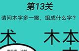 脑洞贼大第13关攻略  木字多一撇组成什么字
