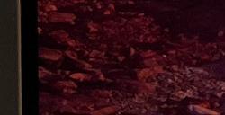 《地狱之刃2》PC版超宽屏截图最低配置GTX1070