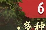 《逸剑风云决》新更新6月28日上线 加入图鉴和坐骑系统