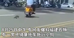 一男子骑摩托车拖行小狗被多名网友举报，公安连发5条微博回应小狗被拖行